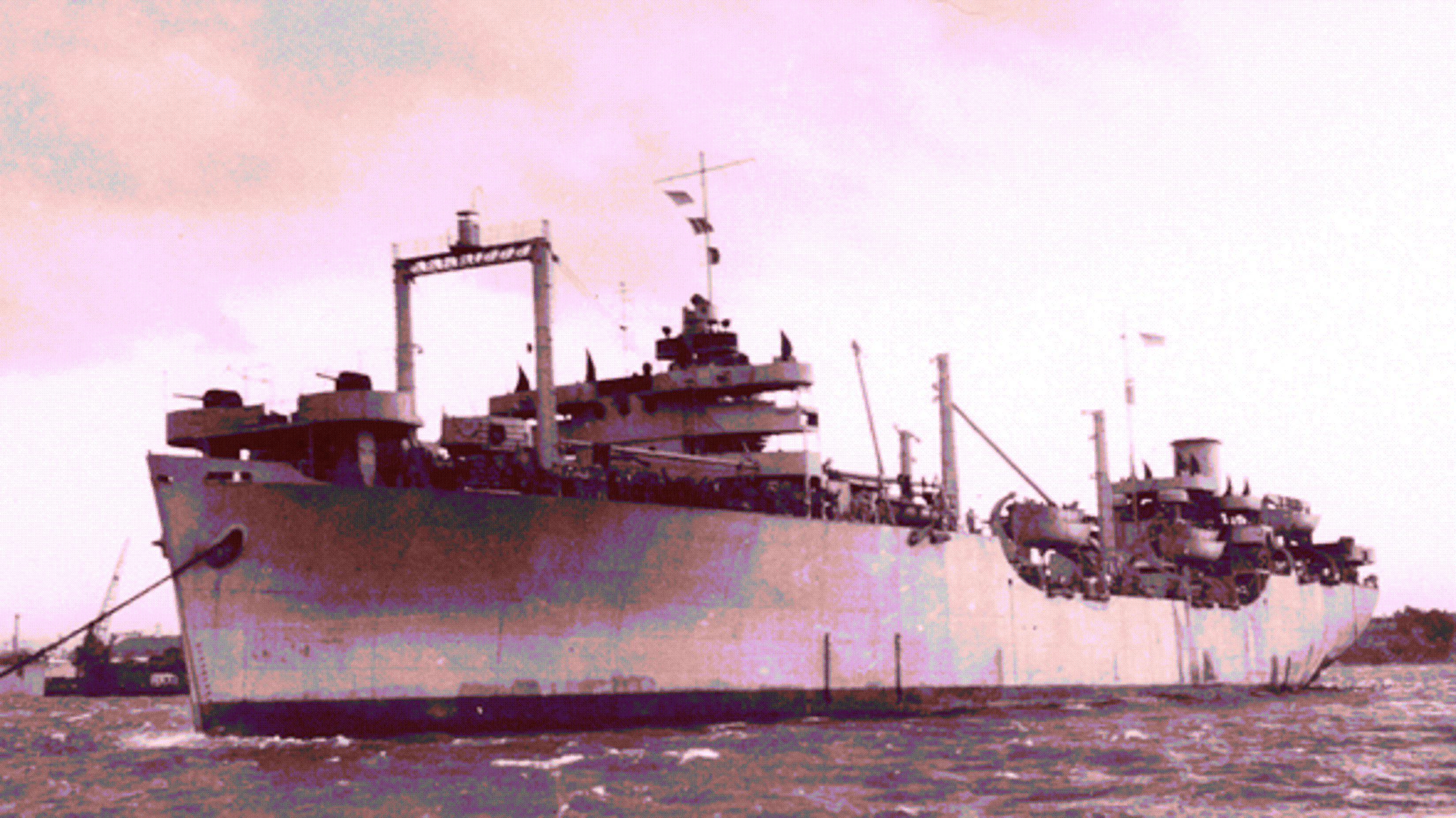 Marine Wolf -1
